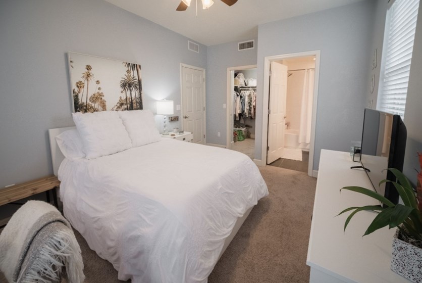 Centro Luxury Apartments in Gainesville, FL - Swamp Rentals